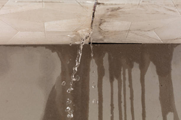 Professional Burst Pipe Cleanup technician working in Halifax, MA
